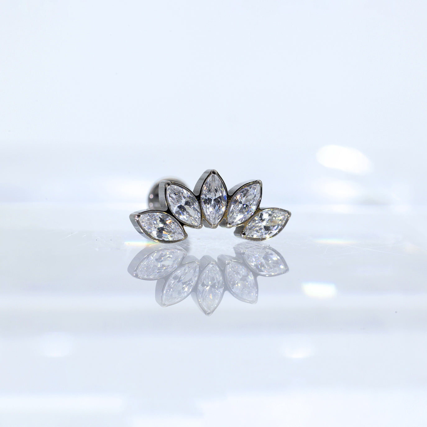 Carolina - Eden Stone's